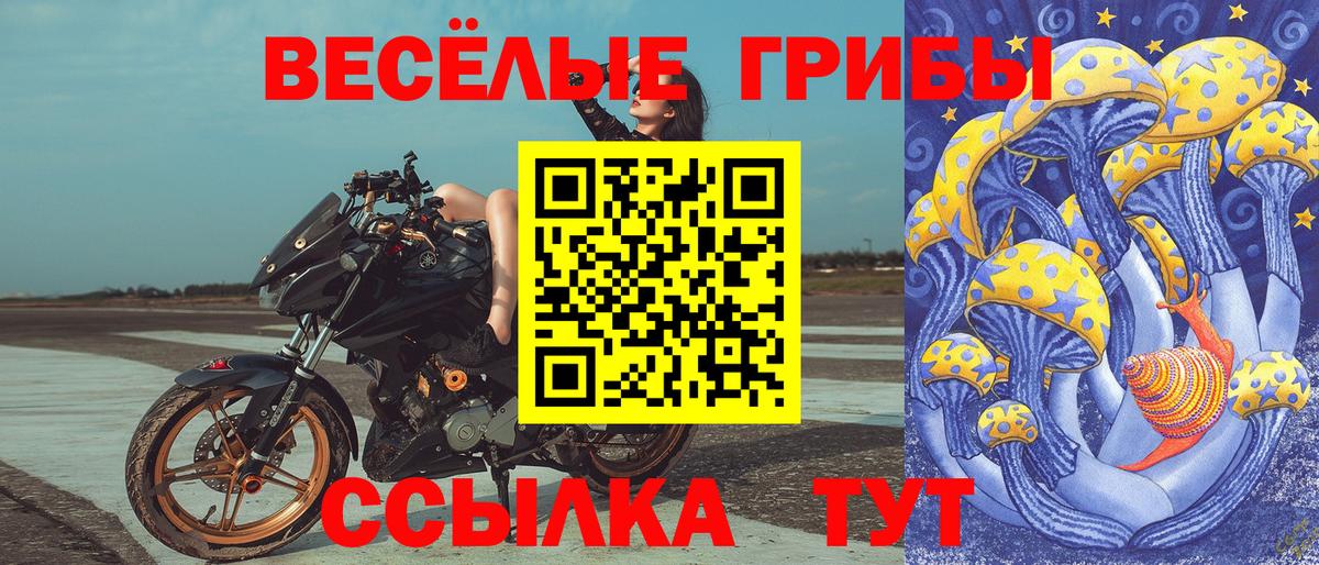 Краснознаменск  Галлюциногенные грибы прущие грибы  Псилоцибиновые грибы мицелий  Вход с VPN 