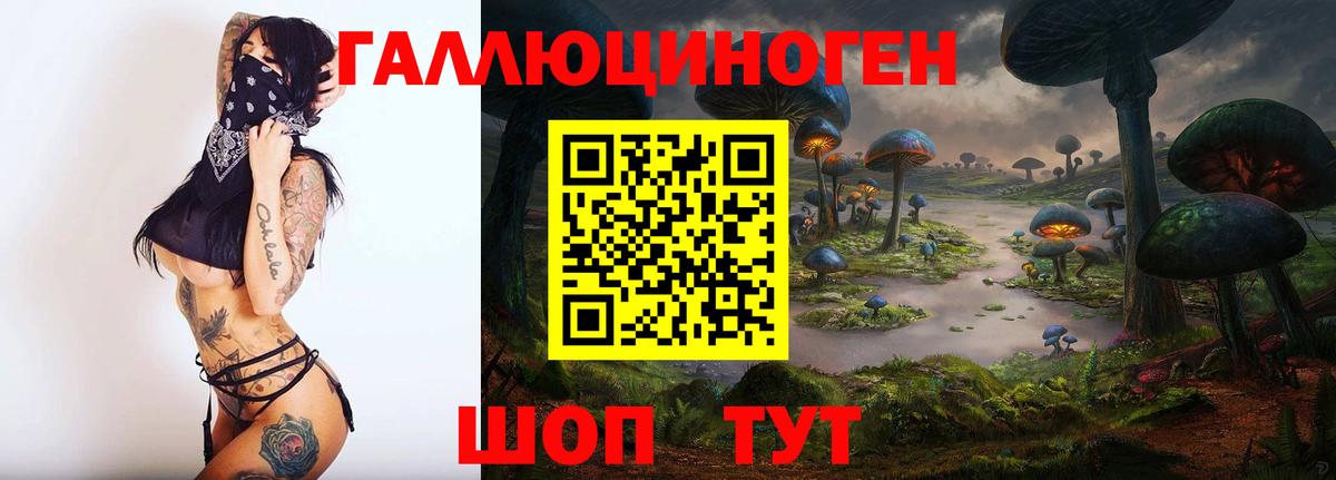 Псилоцибиновые грибы прущие грибы Краснознаменск