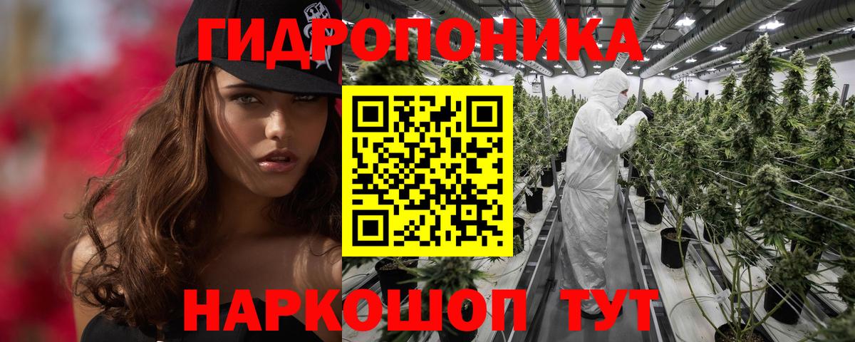 Канабис OG Kush  Вход с VPN  Краснознаменск  Бошки Шишки конопля  Бошки марихуана планчик  Марихуана Bruce Banner 